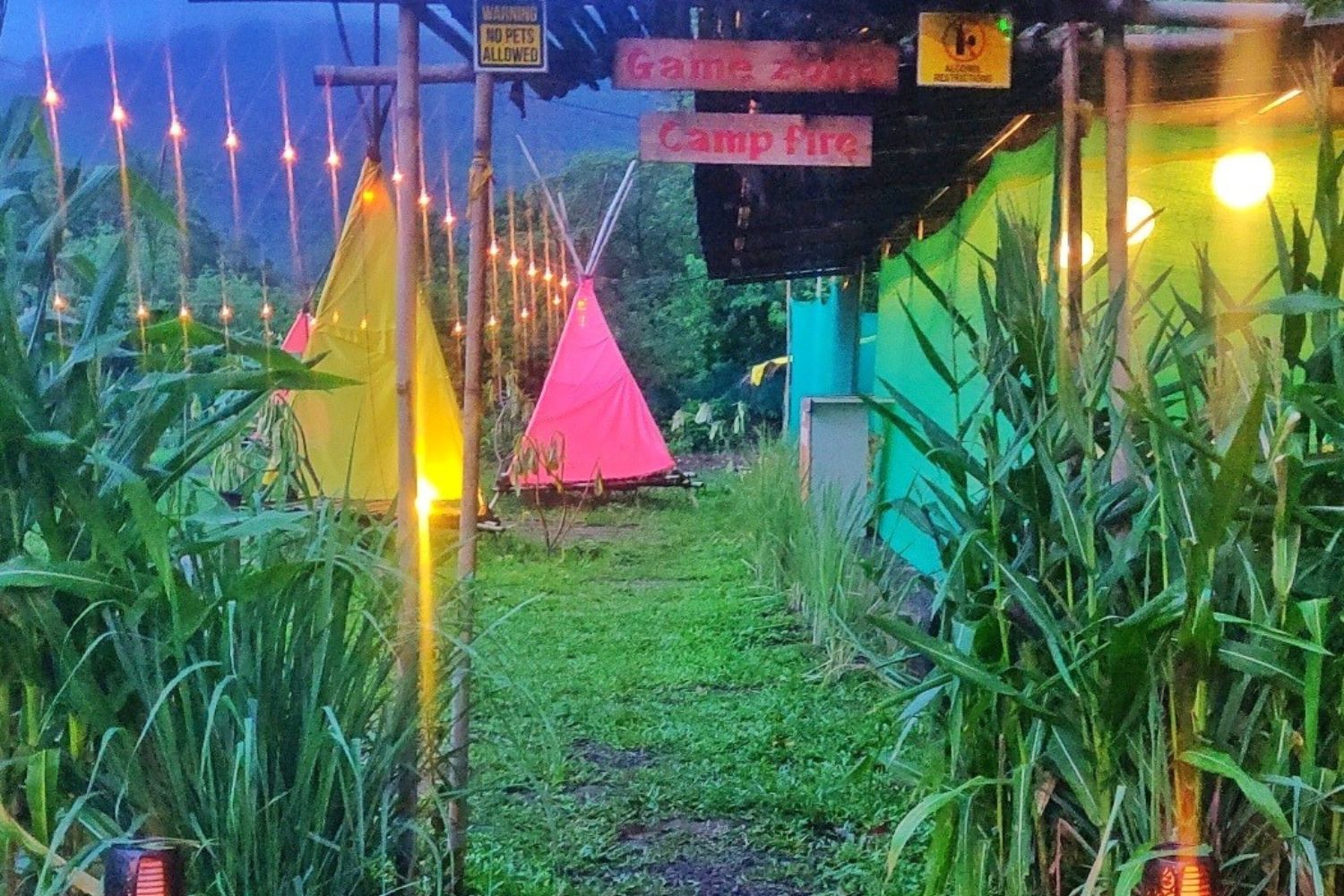 camp-curlies-in-karjatt-price