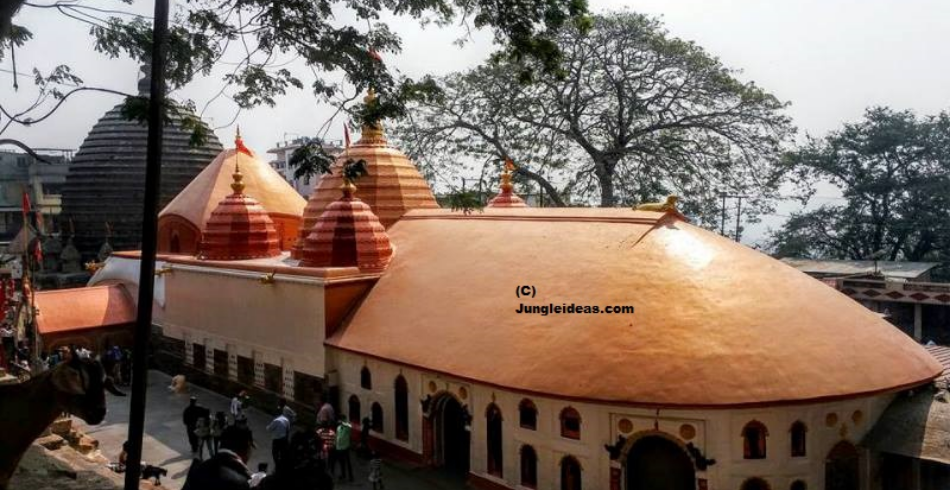 Scenic Places To Visit In Nagaon: Assam's Green Heart Sea Water Sports