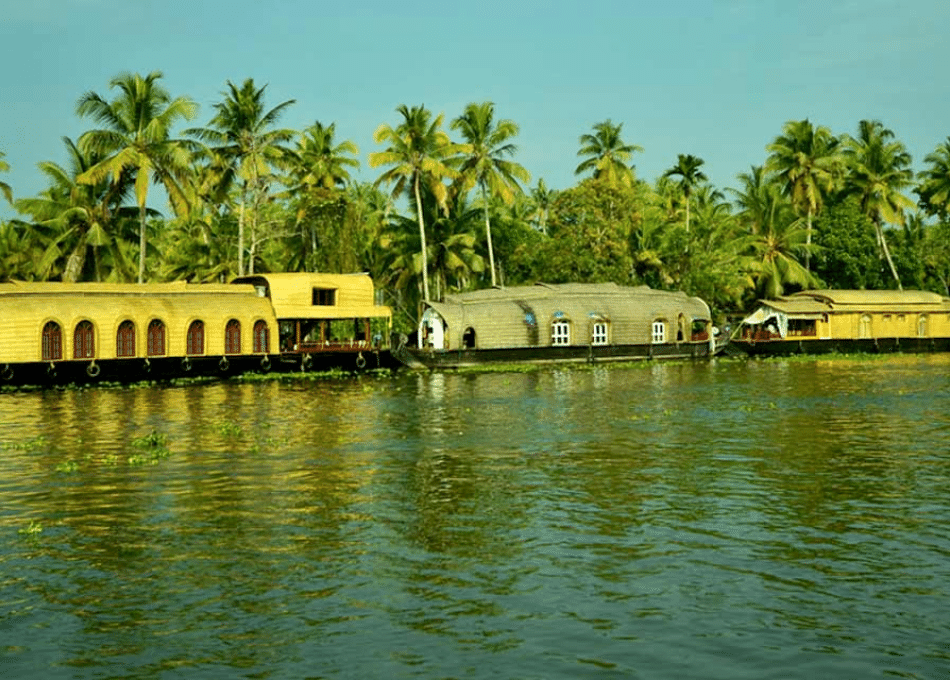 Alleppey Backwaters In Kerala | Things To Do - Sea Water Sports