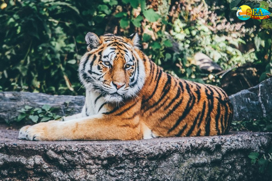 Jijamata Udyan Zoo
