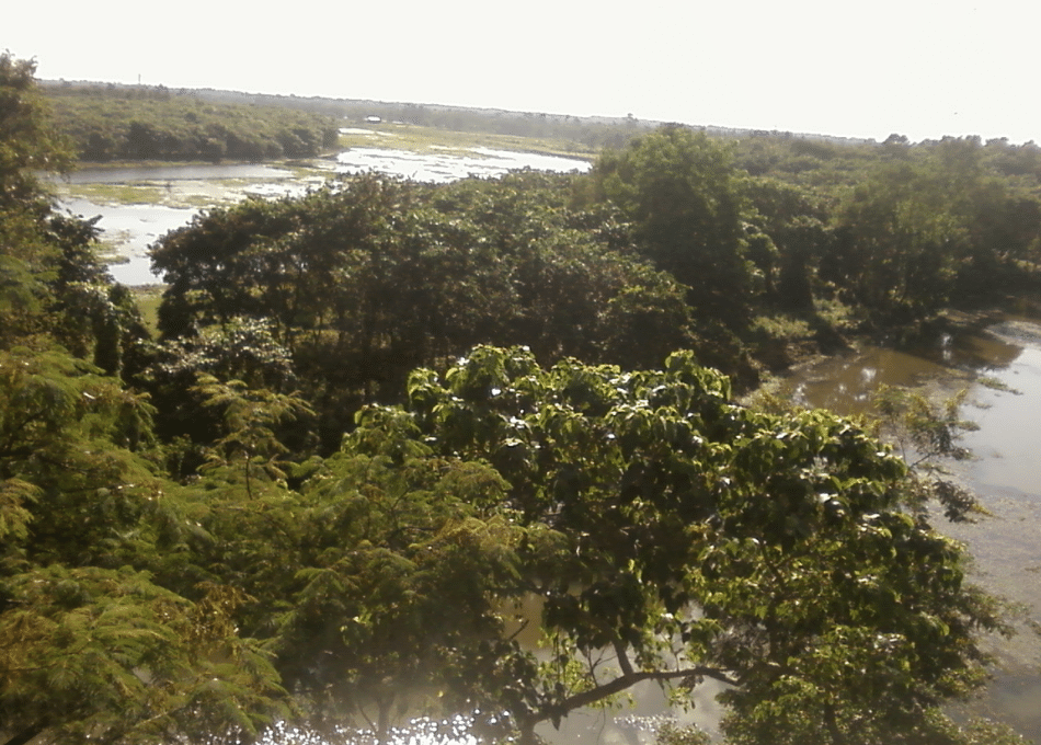 Rasikbil In West Bengal | Things To Do - Sea Water Sports