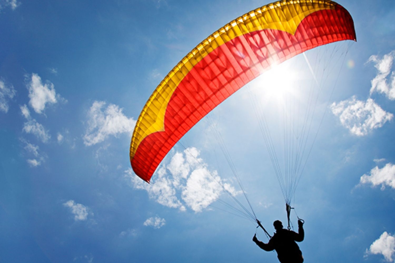 Bir Day Tour With Paragliding Dharamshala