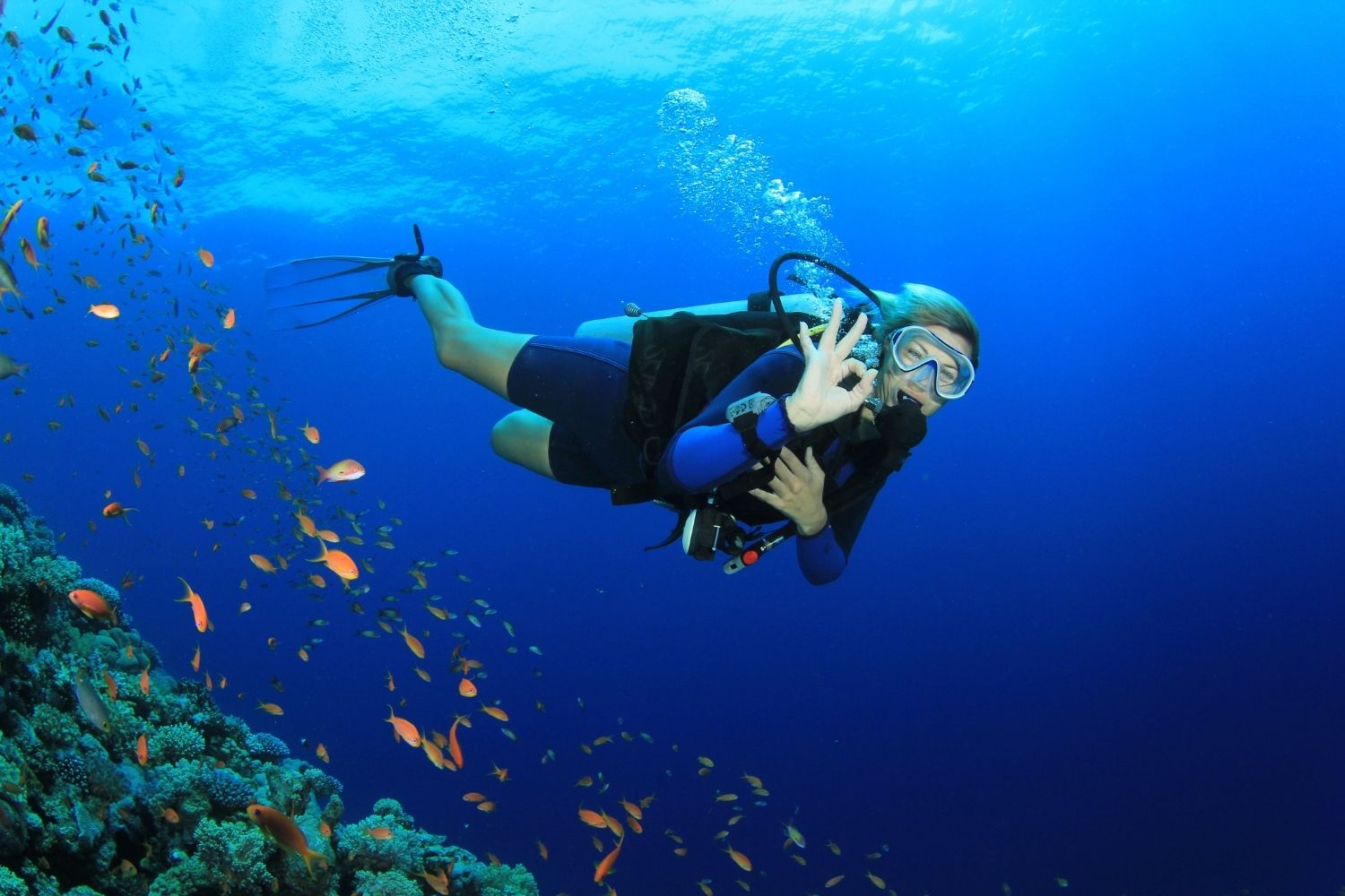Scuba Diving & Water Sports At South Goa