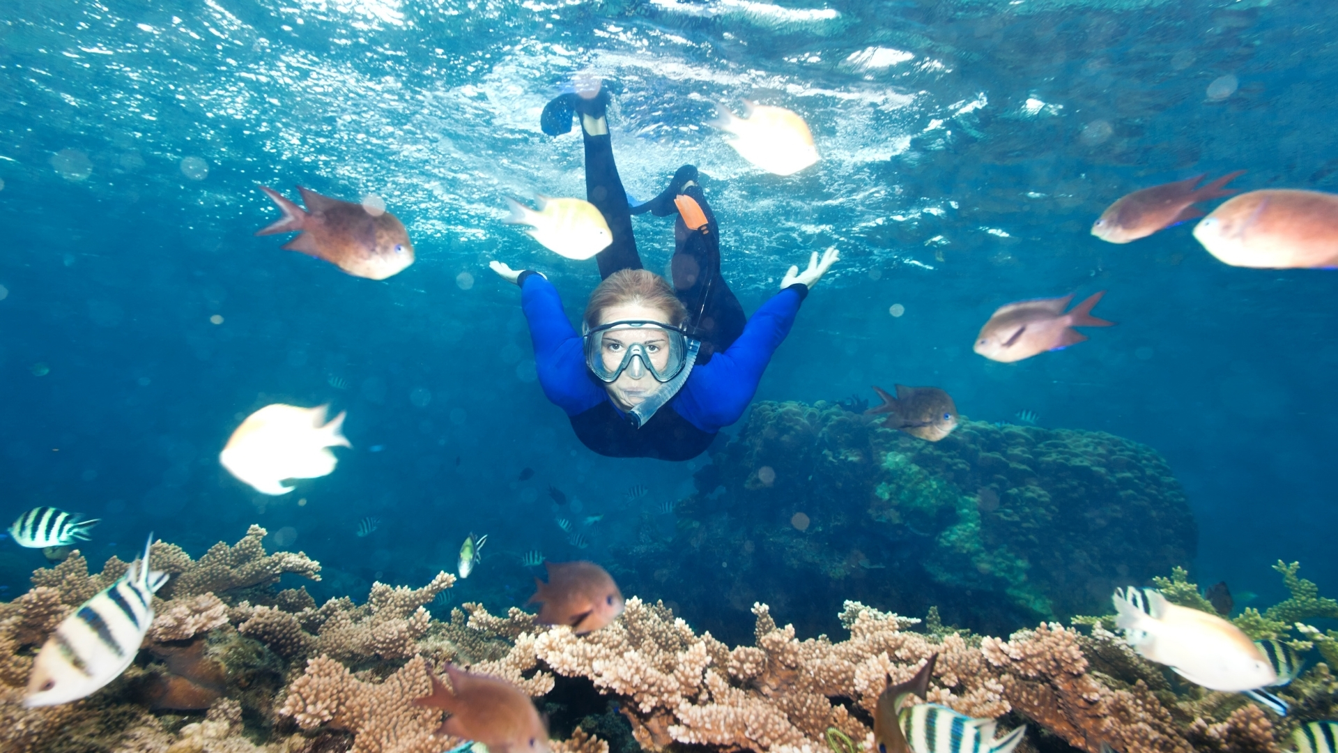 Snorkeling in Andaman, Prices, Places and Vendors | Sea Water Sports