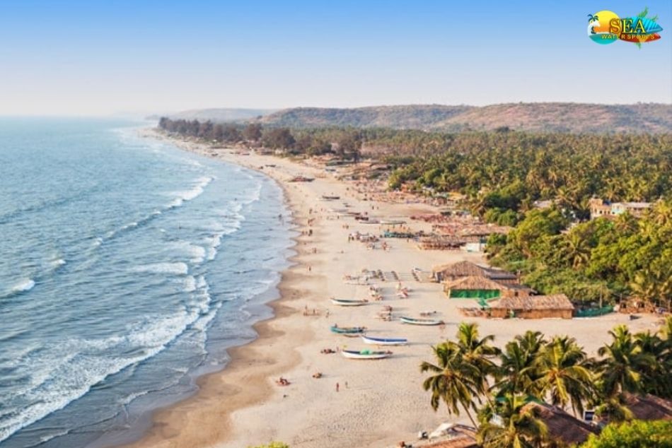 Baga Beach In Goa | Things To Do - Sea Water Sports