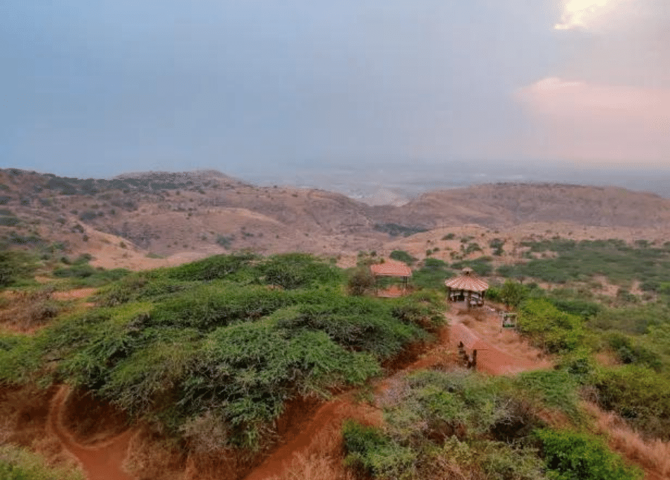 Dandoba Hills Forest Preserve