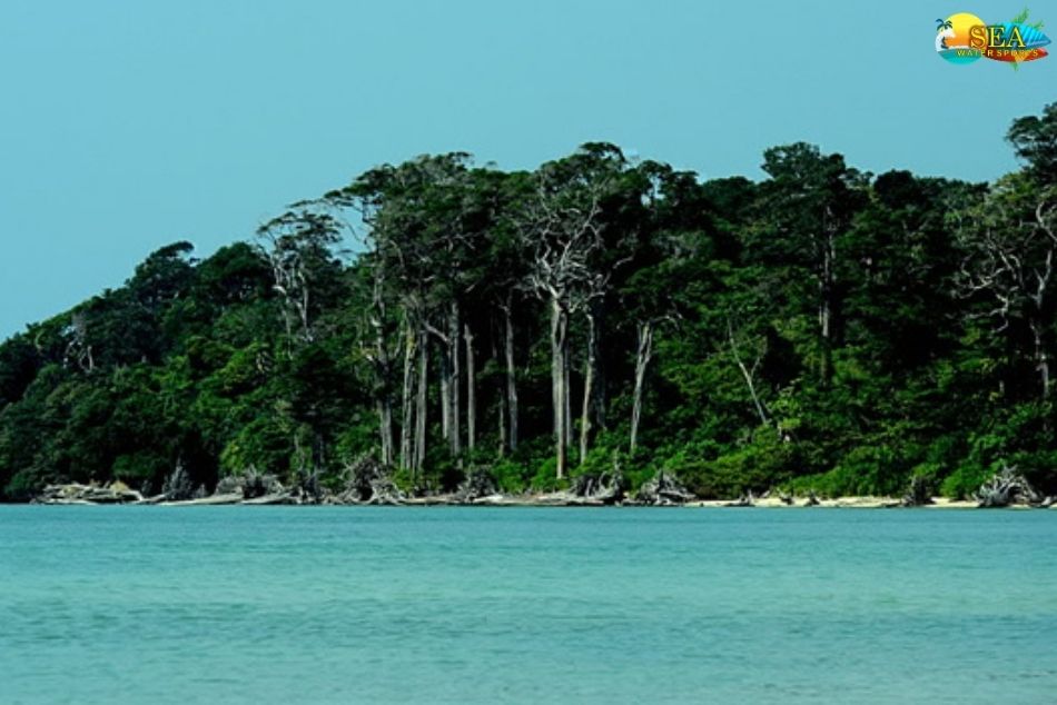 Wandoor Island